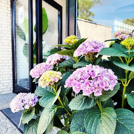 Moderne 1 Im Haffkrug Mit Terrasse, Gartenblick Und Parkplatz In Ruhiger Lage 아파트